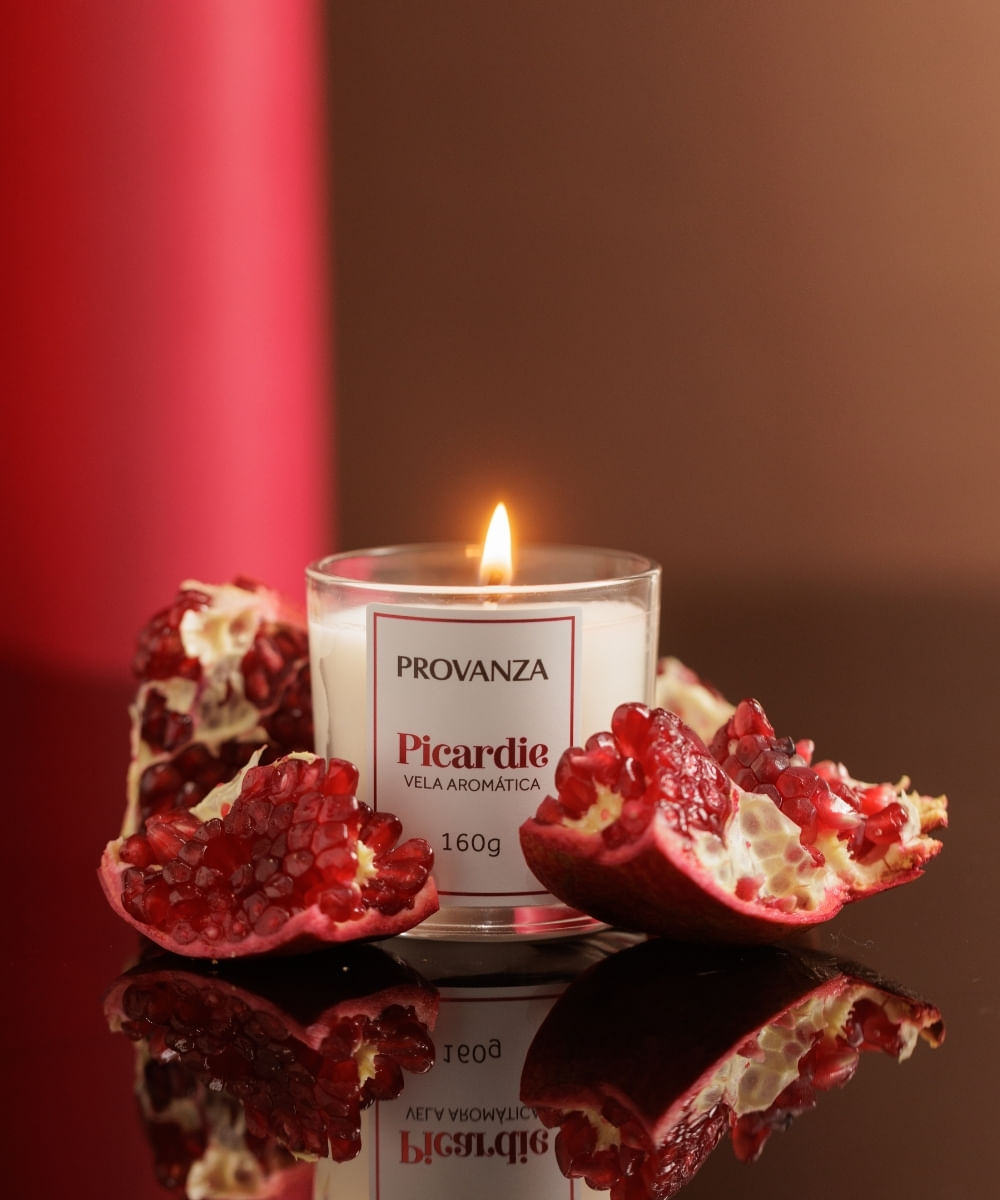 Vela Aromática Picardie 160G Provanza