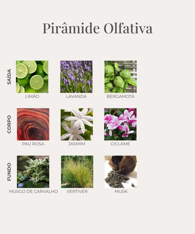 Creme-Para-Mãos-E-Corpo-Blé-Doré-Vidro-245G-Provanza