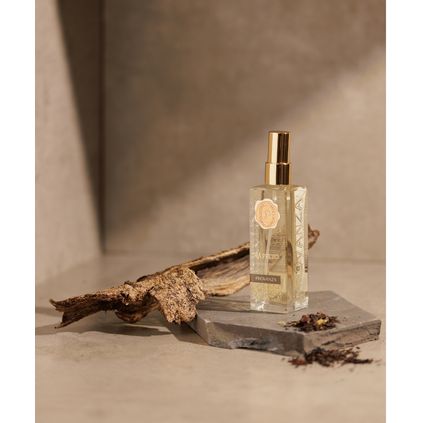 Aromatizador De Ambiente Spray Chá Preto 120Ml Provanza