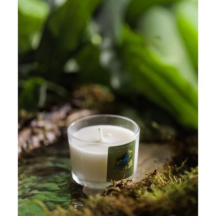 Vela Aromática Amaz 100g - Biomas