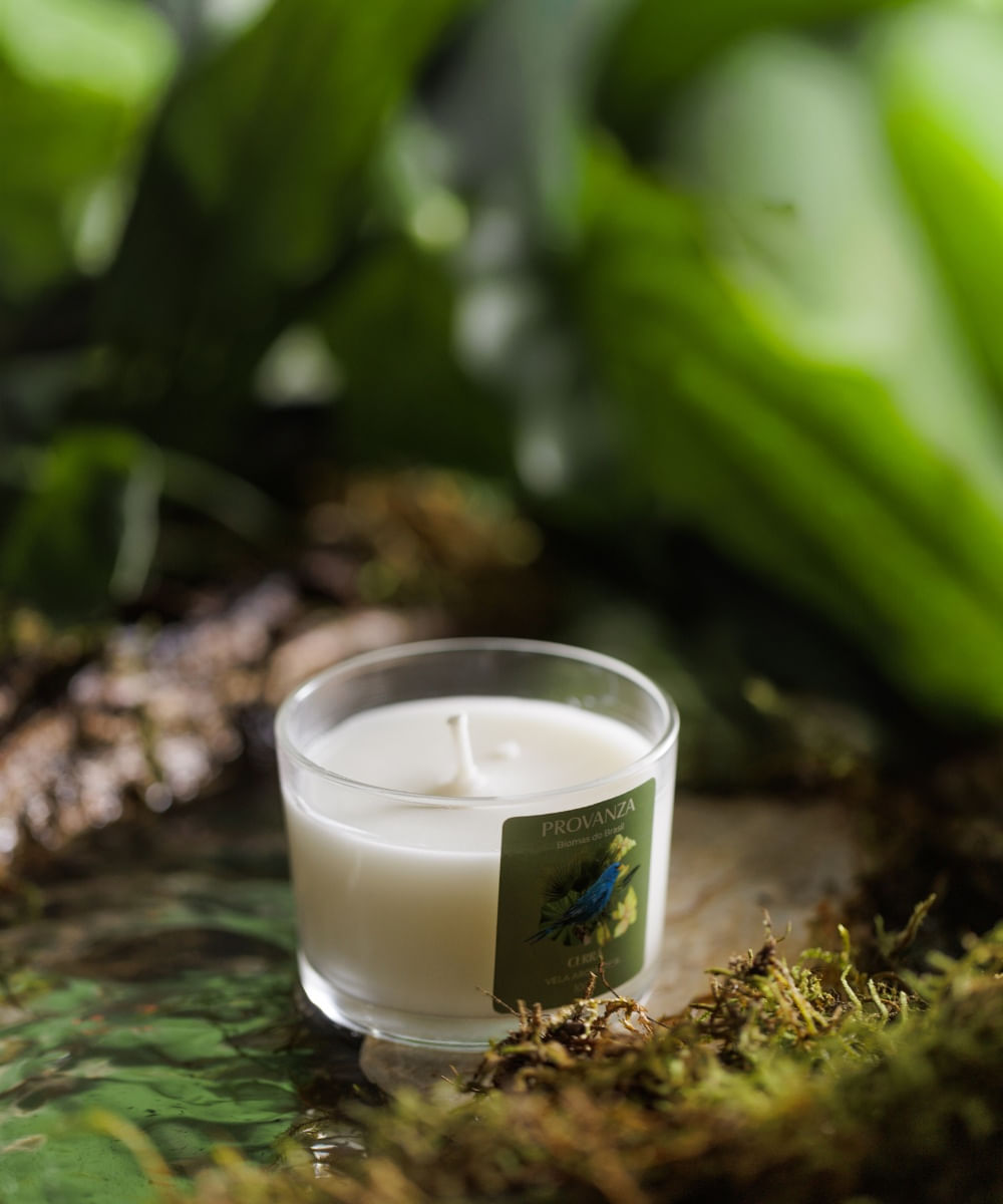 Vela Aromática Amaz 100g - Biomas
