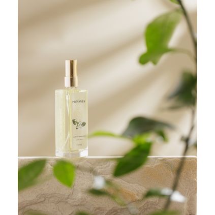 Aromatizador de Ambiente Flor de Laranjeira 120ml - Encontros no Pomar