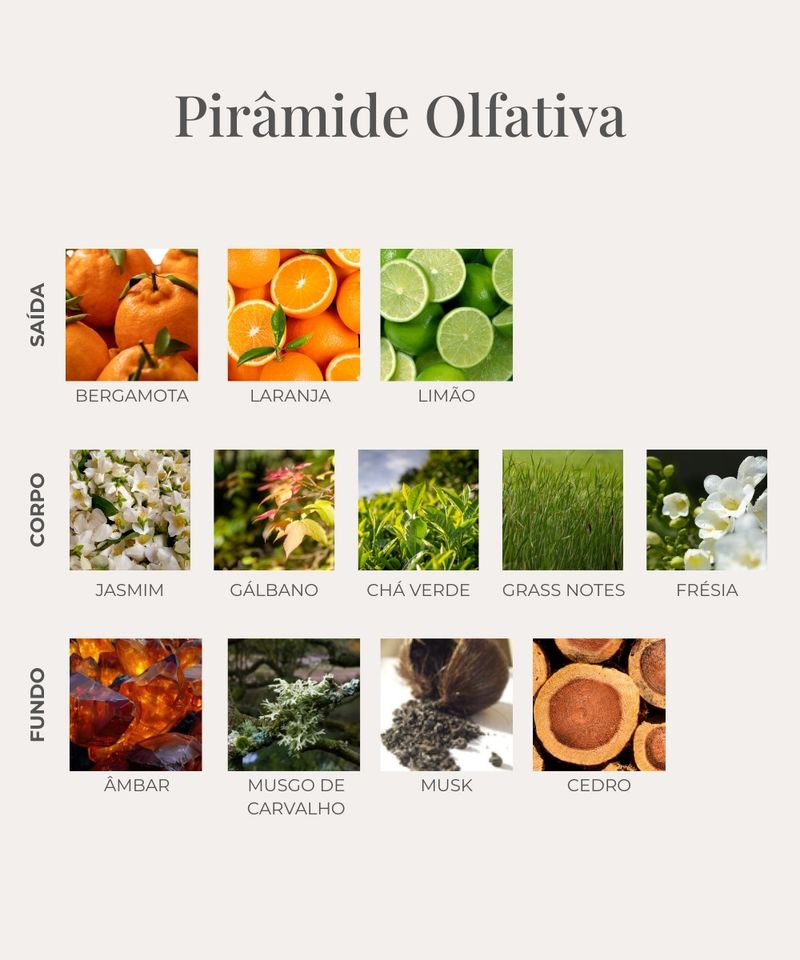 Aromatizador-Automotivo-Chá-Verde-60Ml-Provanza